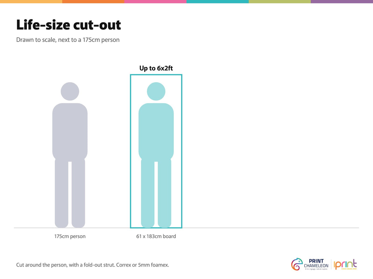 Size guide, drawn to scale next to a 175cm person